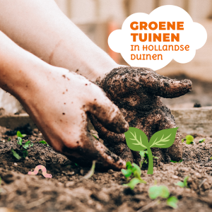 Groene Tuinen in Hollandse Duinen brengt natuur naar de stad